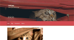 Desktop Screenshot of catcam.us